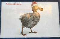 Dodo in Oxford's Osney Island